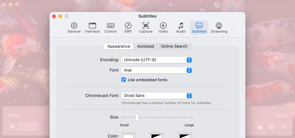 Personalizar subtítulos en Mac