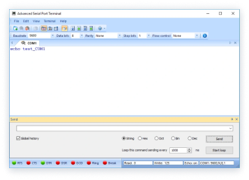 Serial Port Terminal